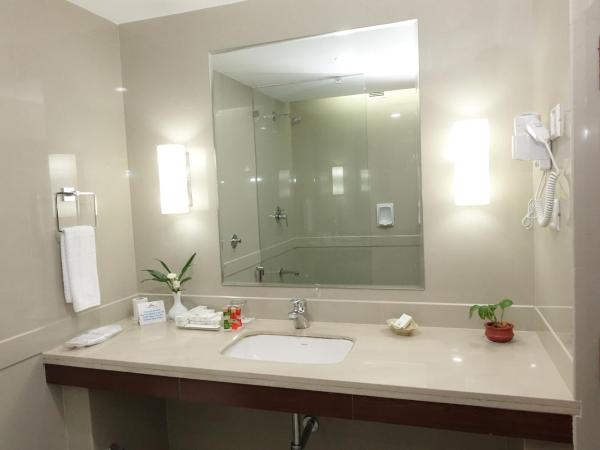 Hotel Abad Plaza : photo 6 de la chambre chambre double ou lits jumeaux supérieure