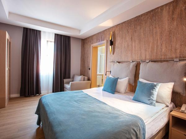 Eliada Hotel : photo 3 de la chambre chambre double supérieure