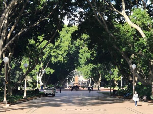 1 Private King Single Bed In Sydney CBD Near Train UTS DarlingHar&ICC&C hinatown - ROOM ONLY : photo 9 de la chambre chambre simple