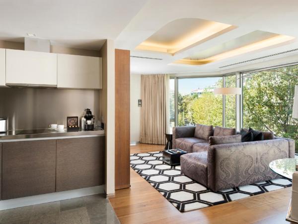 Swissotel The Bosphorus Istanbul : photo 5 de la chambre résidence 1 chambre - vue sur parc