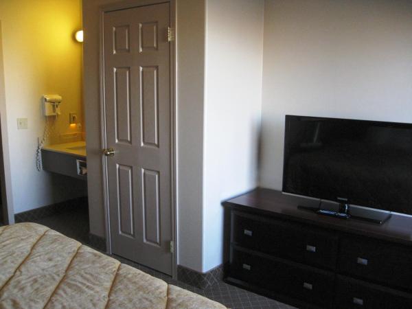 Comfort Inn & Suites Airport South : photo 1 de la chambre suite lit queen-size avec canapé-lit - non-fumeurs