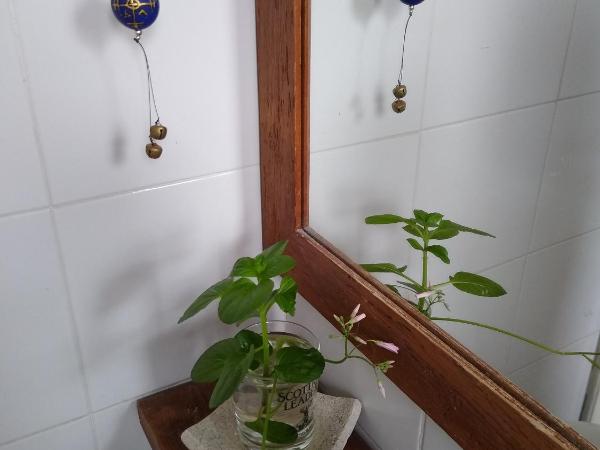 Via Arriba B&B : photo 8 de la chambre chambre double ou lits jumeaux avec balcon