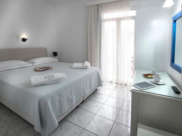 Carolina Hotel since 1934 : photo 4 de la chambre chambre double ou lits jumeaux standard