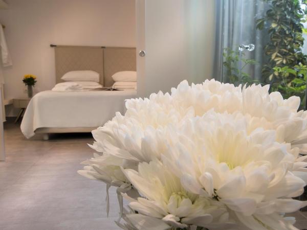 Carolina Hotel since 1934 : photo 2 de la chambre suite deluxe