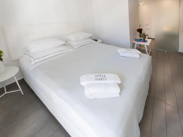 Carolina Hotel since 1934 : photo 6 de la chambre chambre double ou lit jumeaux de luxe confort