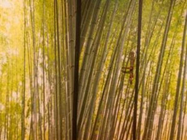 Picnic Hostel Osaka : photo 3 de la chambre room #207451405