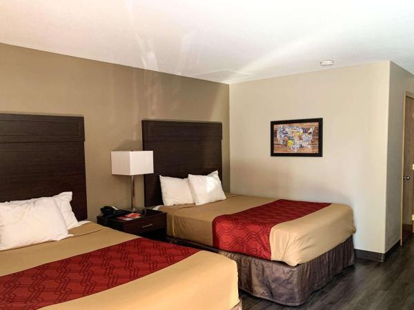 Econo Lodge City Center : photo 10 de la chambre chambre 2 lits queen-size - non-fumeurs