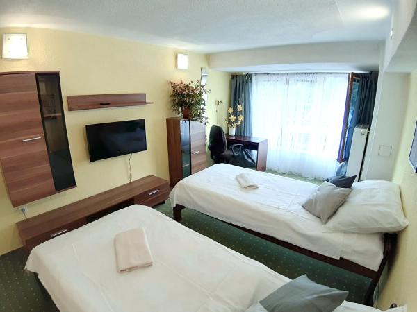 Penzion Havaj : photo 1 de la chambre studio