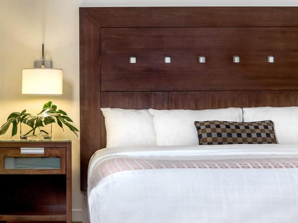 Metterra Hotel on Whyte : photo 2 de la chambre chambre lit king-size