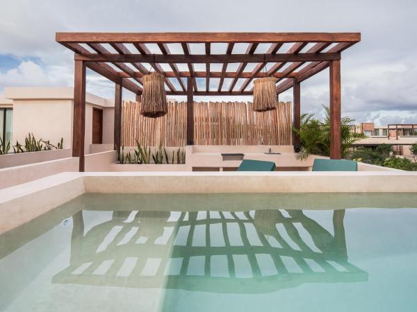 Copal Tulum Hotel : photo 6 de la chambre appartement premium rooftop 2 chambres avec 1 lit king-size, 2 lits simples, 1 canapé-lit king-size et piscine privée - vue sur jardin