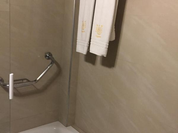 Hotel Napoleón : photo 1 de la chambre chambre double standard