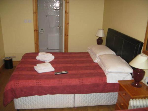 Dun Aoibhinn Guest Accommodation : photo 1 de la chambre chambre simple