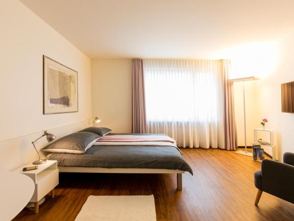 Apartmenthaus zum Trillen Basel City Center : photo 5 de la chambre appartement double (2 adultes)