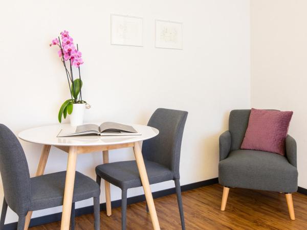 Apartmenthaus zum Trillen Basel City Center : photo 3 de la chambre appartement simple plus