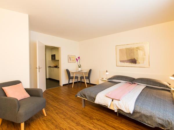 Apartmenthaus zum Trillen Basel City Center : photo 2 de la chambre appartement double (2 adultes)