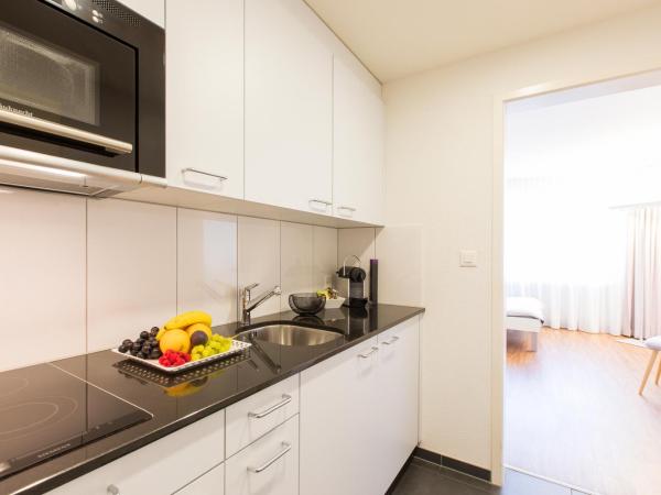 Apartmenthaus zum Trillen Basel City Center : photo 3 de la chambre appartement simple