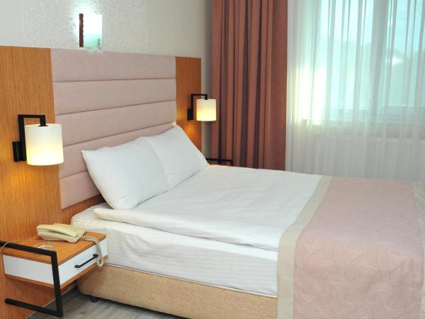 Lion City Hotel Ankara : photo 4 de la chambre chambre simple standard