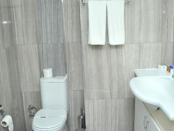 Lion City Hotel Ankara : photo 2 de la chambre chambre simple standard