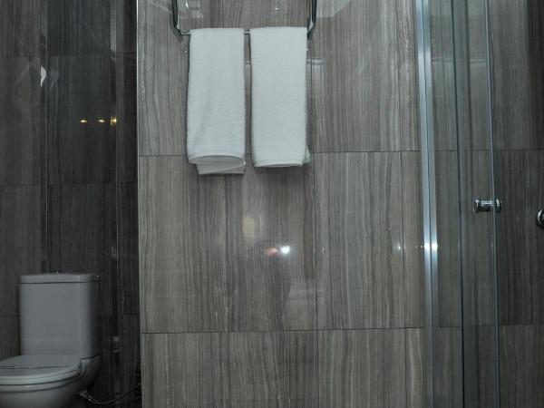 Lion City Hotel Ankara : photo 2 de la chambre chambre simple Économique