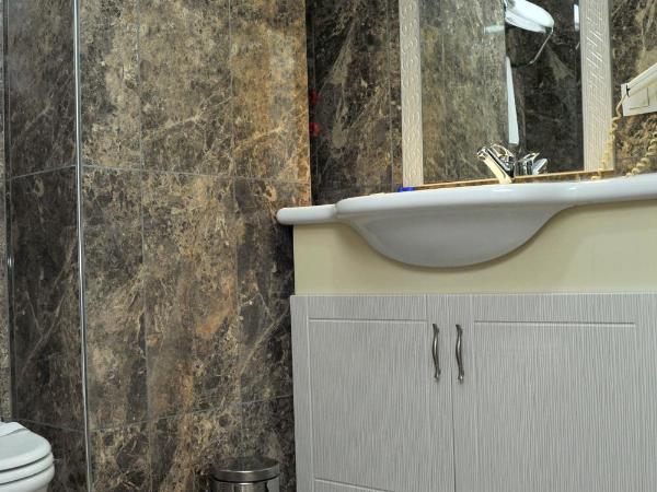 Lion City Hotel Ankara : photo 3 de la chambre chambre double standard