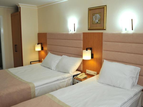 Lion City Hotel Ankara : photo 4 de la chambre chambre lits jumeaux standard