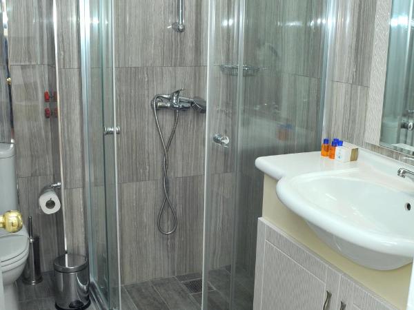 Lion City Hotel Ankara : photo 2 de la chambre chambre lits jumeaux Économique