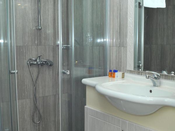 Lion City Hotel Ankara : photo 1 de la chambre chambre lits jumeaux Économique