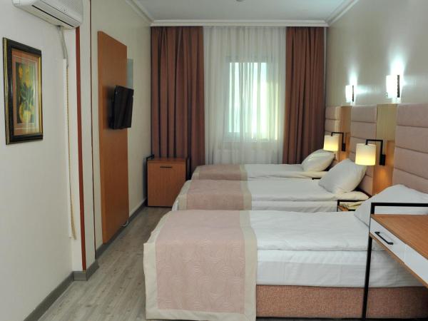 Lion City Hotel Ankara : photo 6 de la chambre chambre triple standard