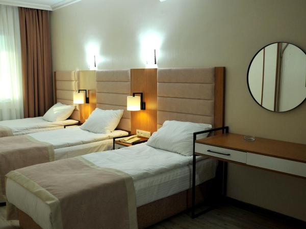 Lion City Hotel Ankara : photo 4 de la chambre chambre triple standard