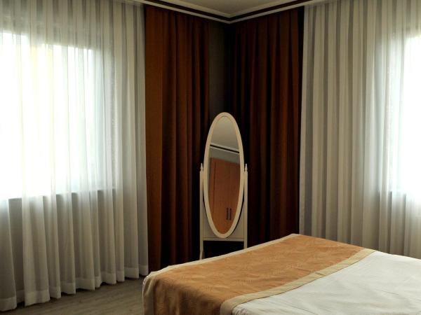 Lion City Hotel Ankara : photo 9 de la chambre suite standard