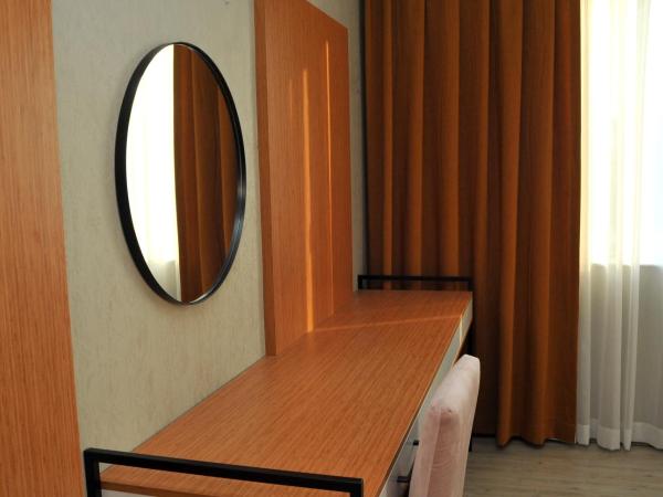 Lion City Hotel Ankara : photo 8 de la chambre suite standard