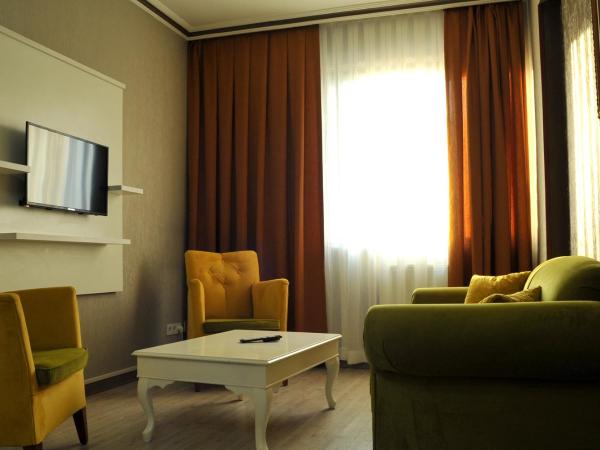 Lion City Hotel Ankara : photo 6 de la chambre suite standard