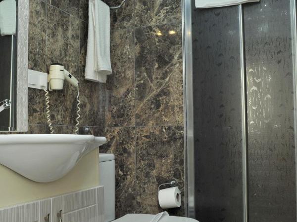 Lion City Hotel Ankara : photo 2 de la chambre suite standard