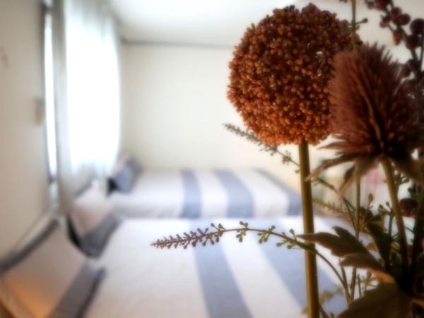 Jeong House : photo 9 de la chambre chambre quadruple Économique avec salle de bains commune