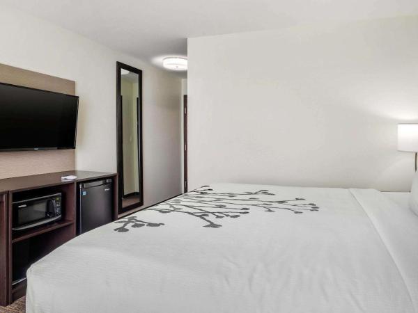 Sleep Inn & Suites near Westchase : photo 2 de la chambre chambre lit king-size avec douche - non-fumeurs