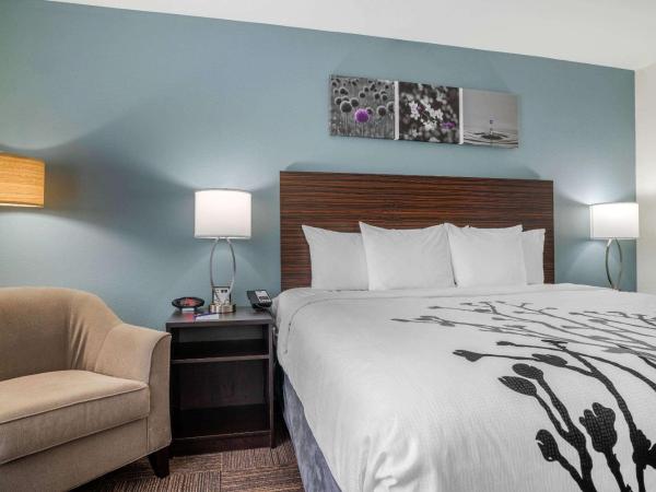 Sleep Inn & Suites near Westchase : photo 2 de la chambre chambre lit king-size avec baignoire - non-fumeurs