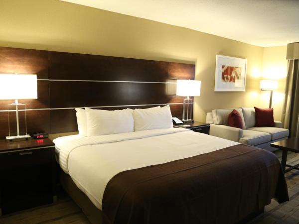 Holiday Inn Charlotte Airport, an IHG Hotel : photo 1 de la chambre chambre lit king-size pour personnes à mobilité réduite - non-fumeurs