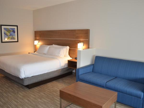 Holiday Inn Express & Suites - Charlotte NE - University Area, an IHG Hotel : photo 2 de la chambre suite lit king-size
