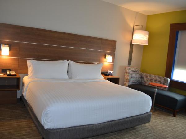 Holiday Inn Express & Suites - Charlotte NE - University Area, an IHG Hotel : photo 1 de la chambre chambre lit king-size standard