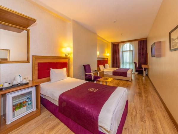 Harmony Hotel Merter & SPA : photo 8 de la chambre chambre triple