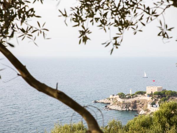 Neopol Hotel : photo 1 de la chambre chambre familiale