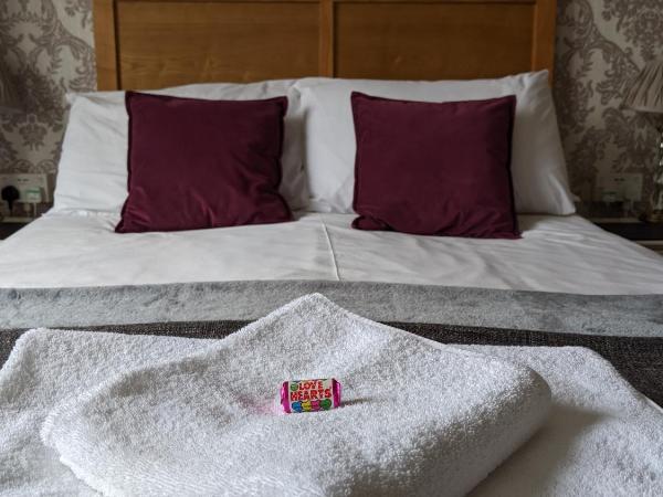 Alexander Lodge Guest House : photo 3 de la chambre chambre double standard