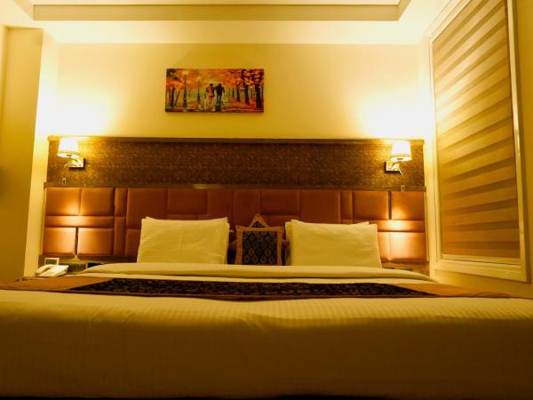 THE SINGH EMPIRE, New Delhi : photo 2 de la chambre premier suite with free airport pickup