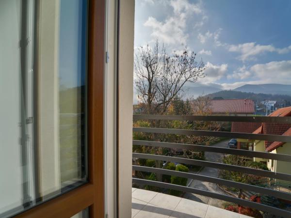 Apartamenty Berg Karpacz : photo 1 de la chambre appartement avec vue sur la montagne