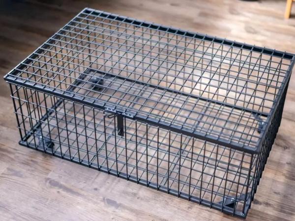 Hop Inn : photo 3 de la chambre lit dans dortoir mixte de 4 lits