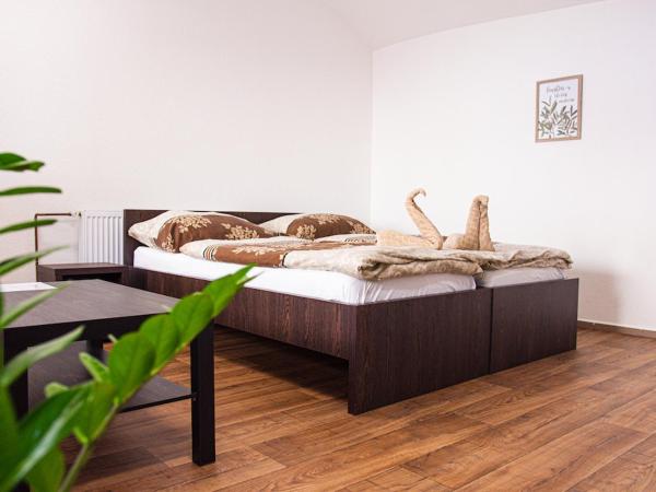 Penzion Poruba : photo 3 de la chambre appartement - rez-de-chaussée