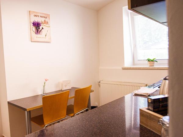 Penzion Poruba : photo 1 de la chambre appartement - rez-de-chaussée