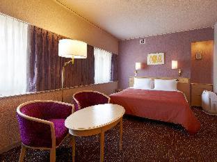 Hotel New Hankyu Osaka : photo 2 de la chambre room #24781396