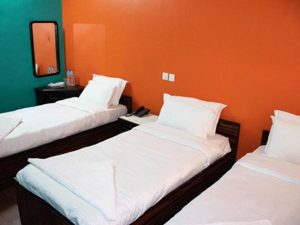 Hotel Green Horizon : photo 3 de la chambre chambre triple standard