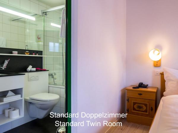 Hotel Hirschen - Grindelwald : photo 3 de la chambre chambre double standard